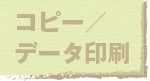 lコピー／データ印刷