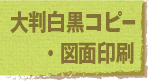 大判白黒コピー・図面印刷